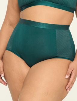 Cotton High-Leg Brief Panty
