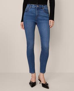 Mid Rise Skinny Jeans in Classic Wash — Curvy Fit