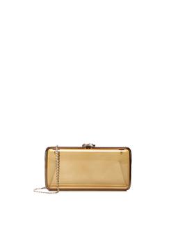 Gianvito Rossi Vetra Clutch In Plexiglass