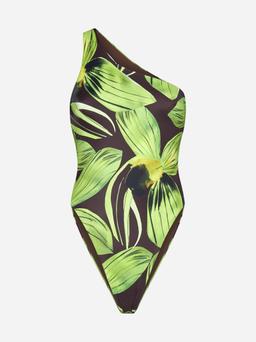 Louisa Ballou Plunge Print Swimsuit