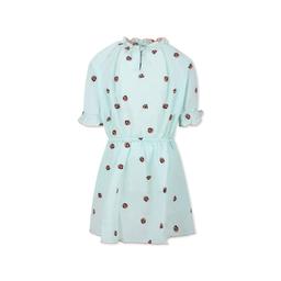 Stella McCartney Kids Green Deress For Girl With Ladybugs