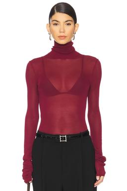 Alexander Sheer Turtleneck Sweater