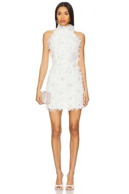 Cherry Blossom Mini Dress