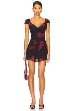 Lunarose Chiffon Mini Dress