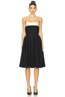 Strapless Opera Lady Length Dress