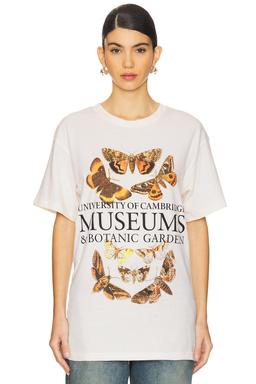Cambridge Museums Tee