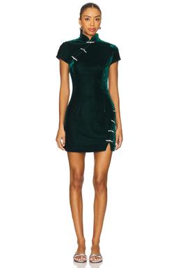 Ivy Velvet Mini Dress