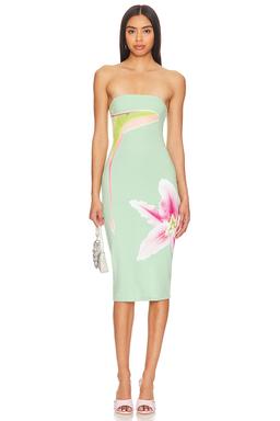 Luna Moth Dress