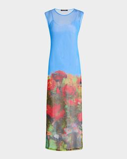 Printed Mesh Maxi Dress