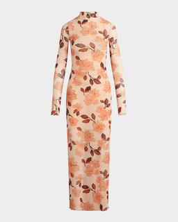 The Sheer Fantasy Maxi Dress