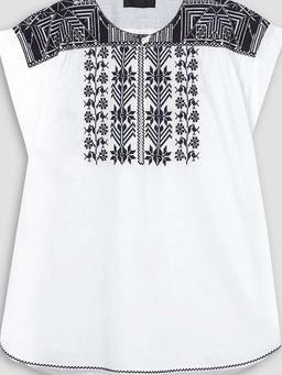 Aurielle embroidered cotton-poplin top