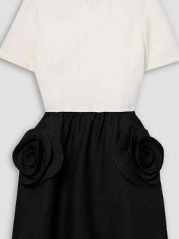 Appliquéd two-tone wool and silk-blend mini dress