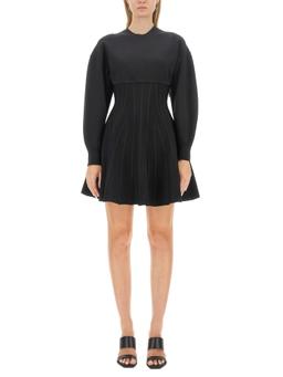 Alexander McQueen Mini Dress