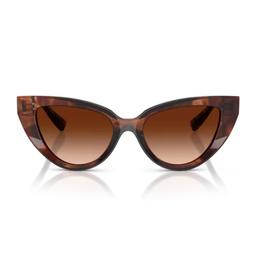 Dolce & Gabbana Eyewear Dolce & Gabbana Dg4497 322274 Havana Rosso Scuro Sunglasses