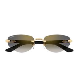 Cartier Eyewear Cartier Ct0580s Décor C Allongé De Cartier 001 Gold Black Grey Sunglasses
