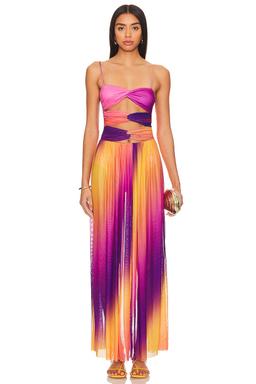 x REVOLVE Meeg Maxi Dress