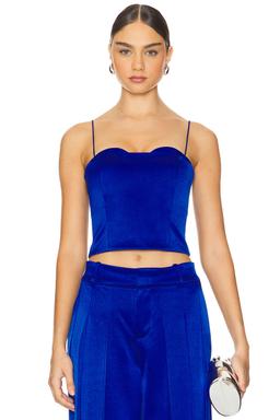 Ada Bustier Cropped Top