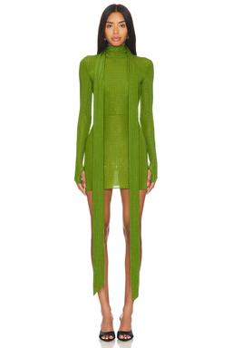 Long Sleeve Scarf Mini Dress