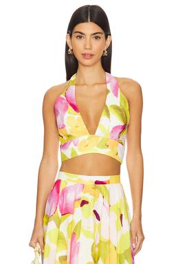 Nicolette Halter Crop Top