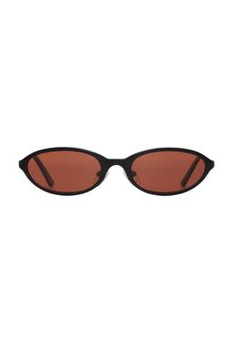 Poly Sunglasses