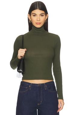 Crop Turtleneck Top