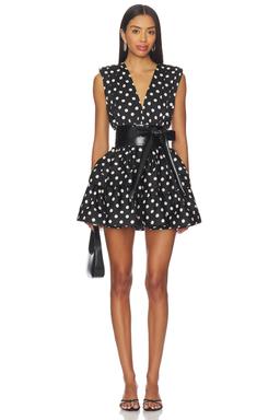 Riley Ruffle Mini Dress