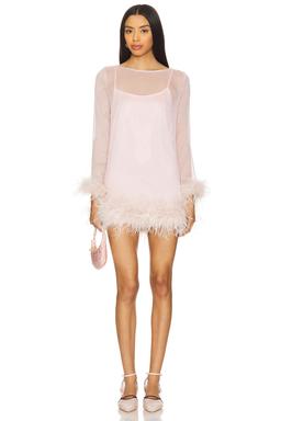 Harlow Sheer Mini Dress