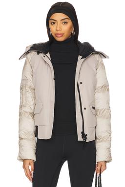 Paradigm Chilliwack Bomber