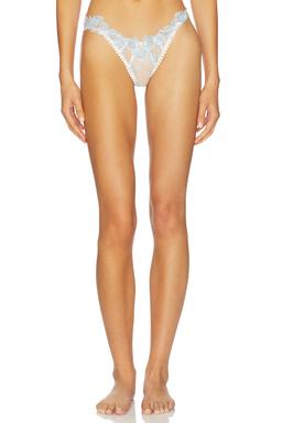 Winter Roses Thong Panty