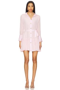 Daphne Solid Mini Dress