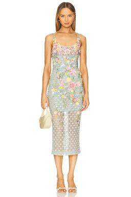 Aurora Twilight Blossom Dress