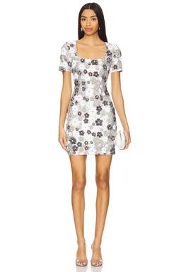 Winter Garden Shift Dress