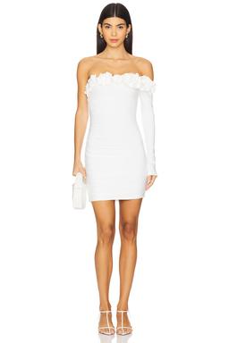 Selvaggio Mini Dress