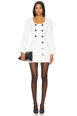 Apron Double-breasted Mini Dress