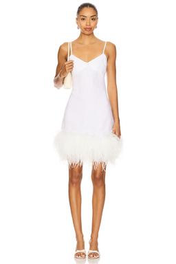x REVOLVE Mini Dress With Feathers
