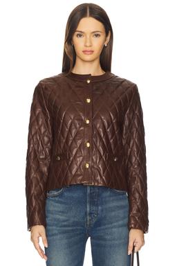 Amy Leather Jacket in Bordeaux