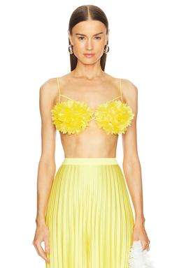 Annie Floral Bustier