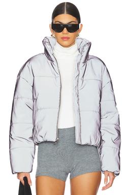 Polar Coat