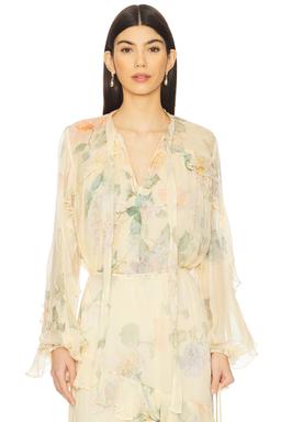 Illuminate Flutter Top