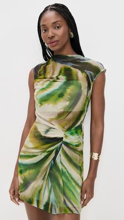 Zuma Sheer Mini Dress