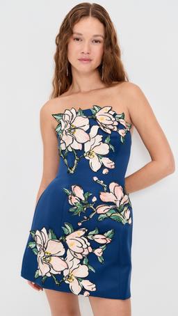 Zaria Applique Floral Bustier Mini Dress