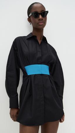 Collar Long Sleeve Mini Dress