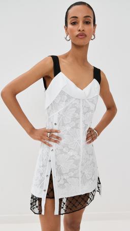 Corded Lace Organza Mini Dress