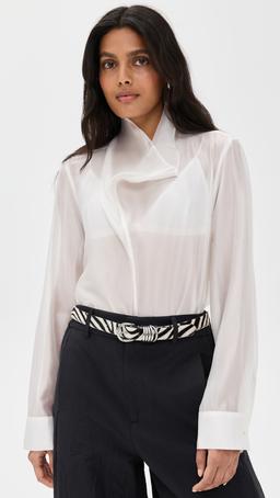 Sheer High Cowl Neck Blouse