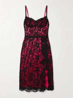 Layered cotton-blend lace and stretch-silk satin bustier midi dress