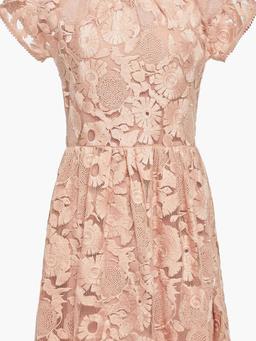 Embroidered tulle mini dress