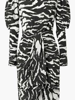 Frea draped zebra-print silk-blend crepe de chine dress